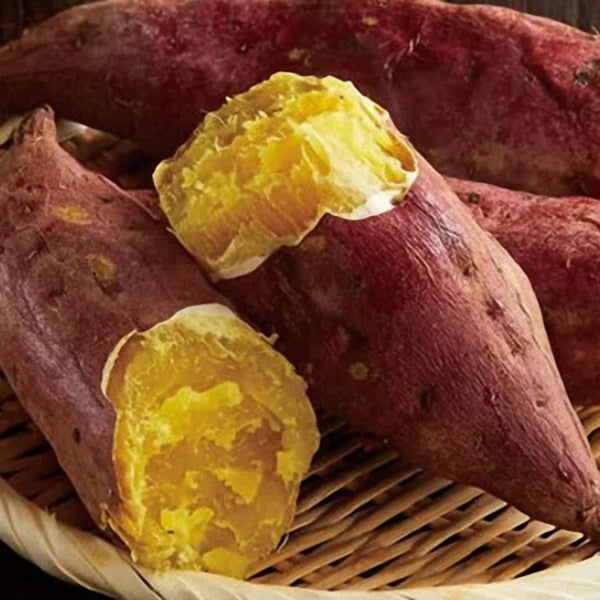 Hong Kong Style - Roasted Sweet Potatoes Knickknack