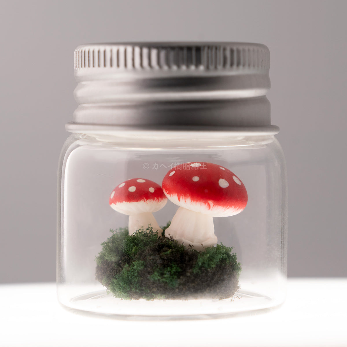 Wildlife and Nature - Fly Amanita in a Bottle Knickknack